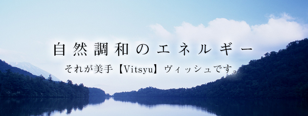 VITSYU画像