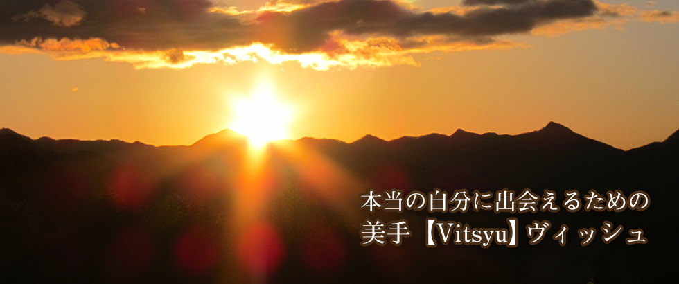 VITSYU画像